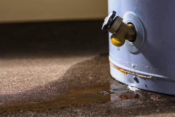 Best Water damage restoration near me  in Independence, IA