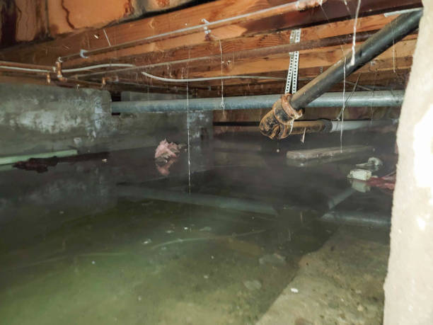 Best Flooded house restoration  in Independence, IA