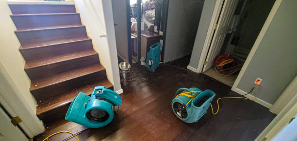 Best Water damage restoration near me  in Independence, IA