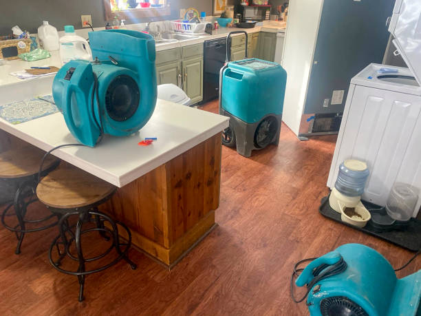  Independence, IA Water damage restoration Pros