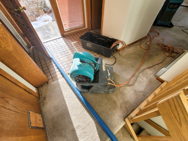Best Emergency water damage restoration  in Independence, IA