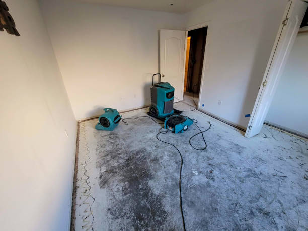 Best Flooded house restoration  in Independence, IA