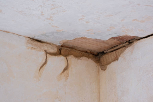 Best Fire Damage Restoration  in Independence, IA