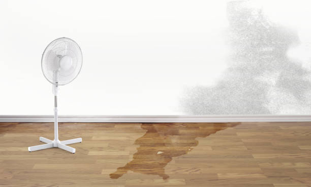Best Water damage restoration near me  in Independence, IA