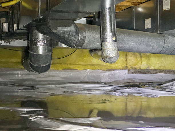 Best Ceiling water damage repair  in Independence, IA
