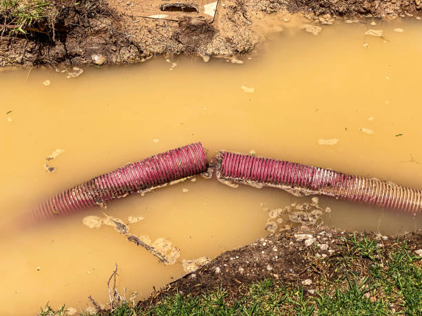 Best Emergency water extraction  in Independence, IA